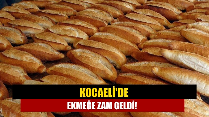 Kocaeli’de ekmeğe zam geldi!